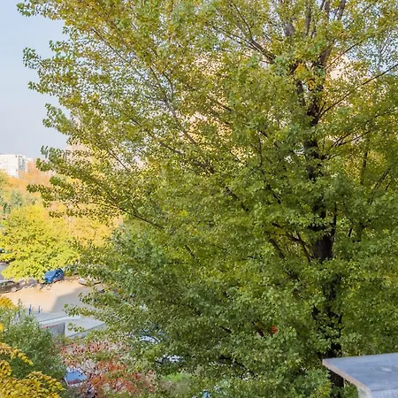 Timpuri Noi - 54 By Mrg