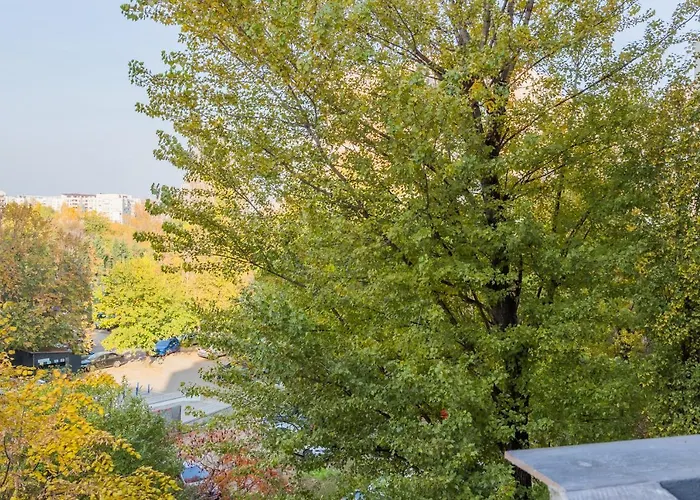 Timpuri Noi - 54 By Mrg